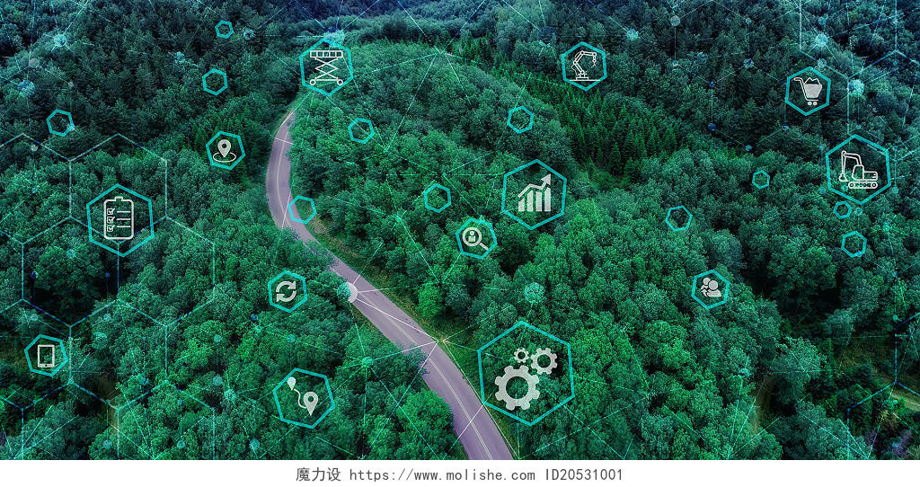 绿色生态发展森林树木科技智能自动化网络科学图标背景